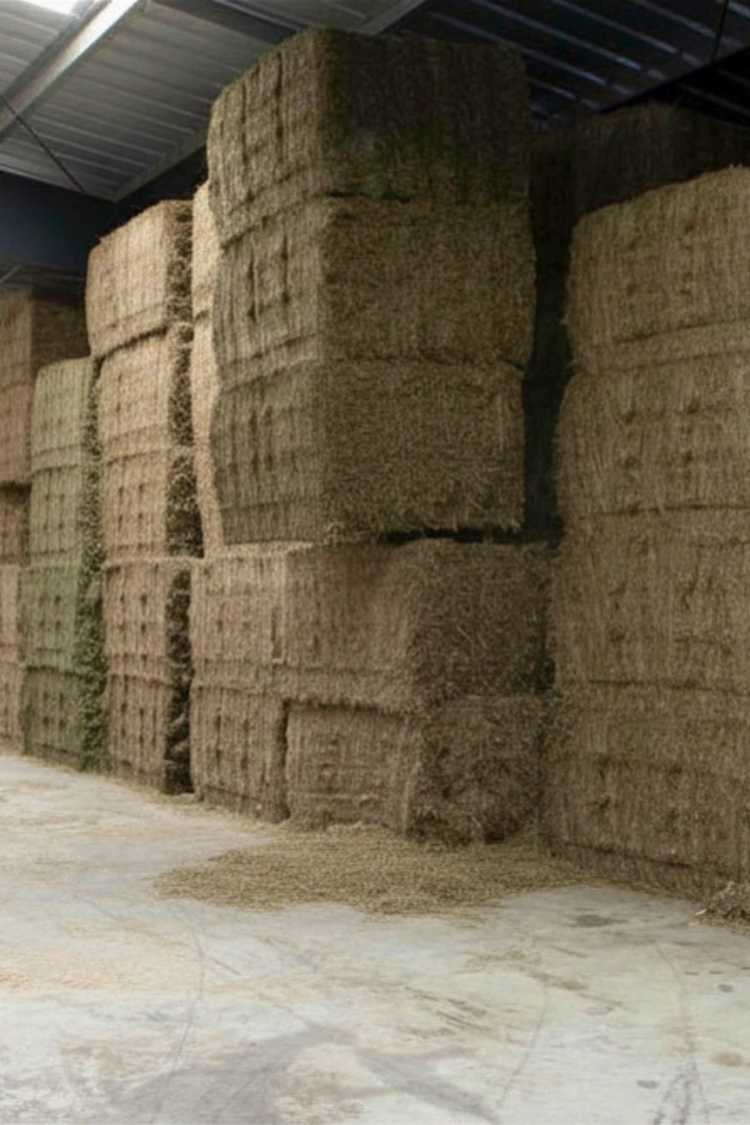 CEREALI_GALLERY3