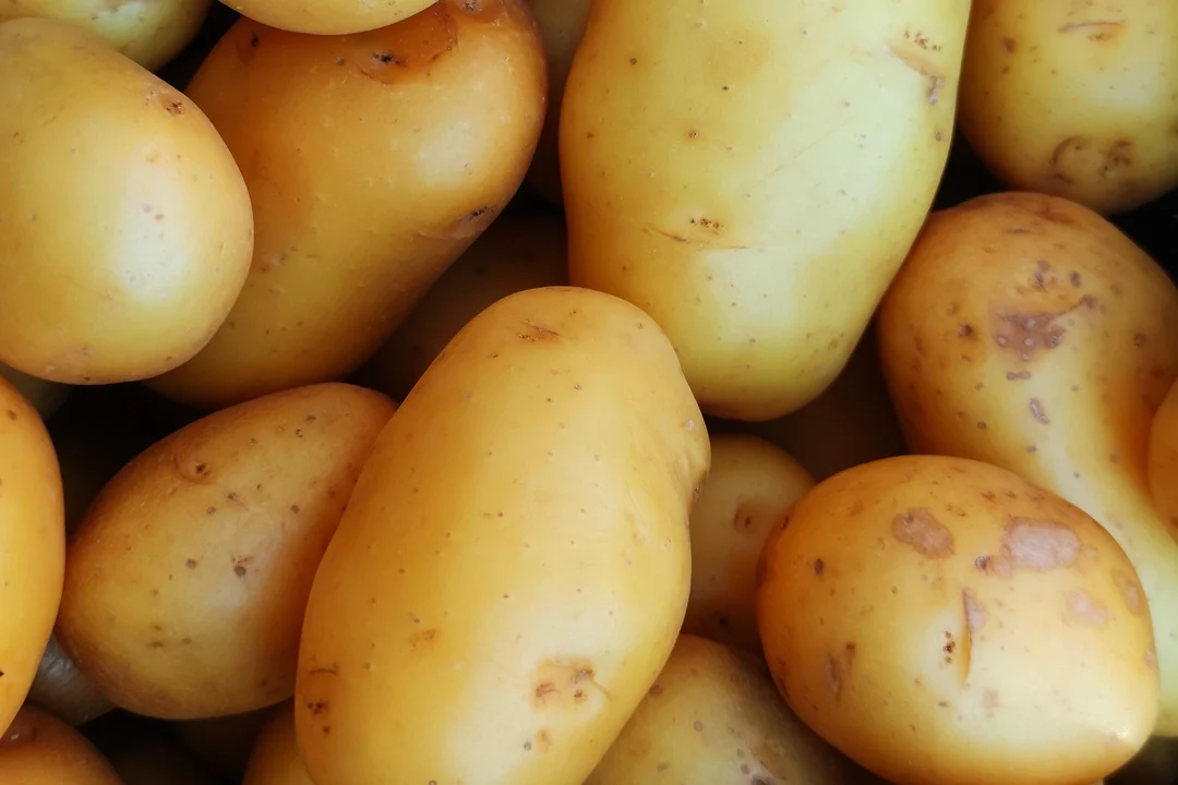 IMPIANTOPRODUZIONEALIMENTARE2