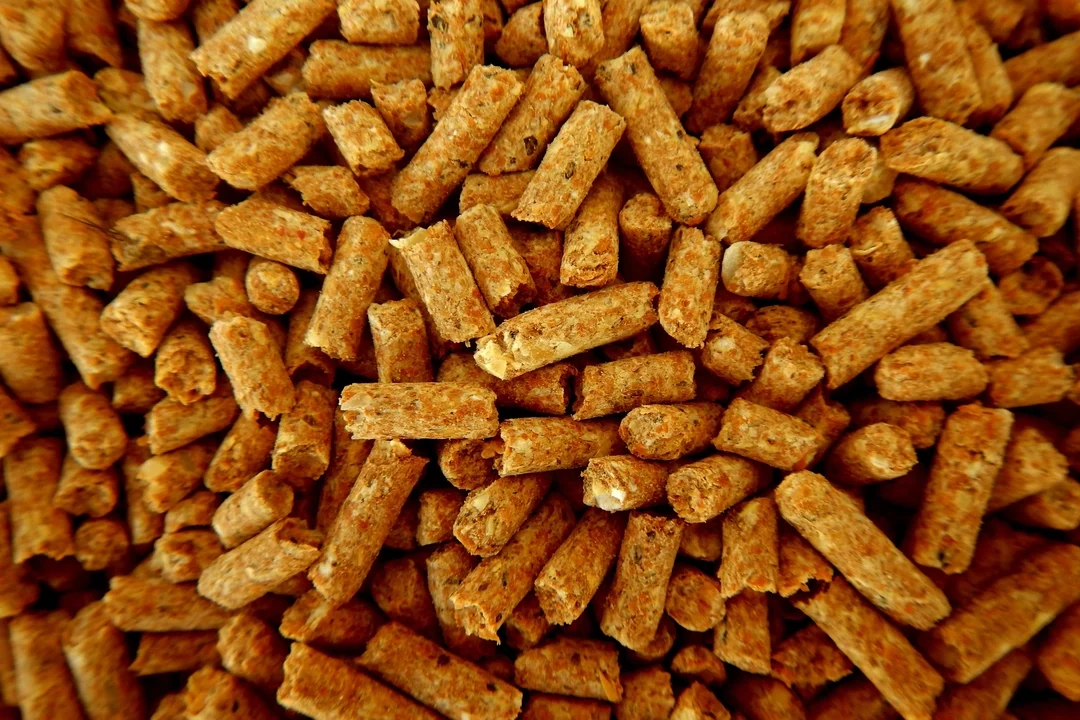 casostudio_pellet3